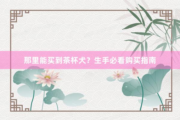 那里能买到茶杯犬？生手必看购买指南